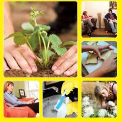 The Birches, Chesterfield